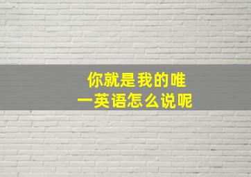 你就是我的唯一英语怎么说呢