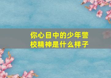 你心目中的少年警校精神是什么样子