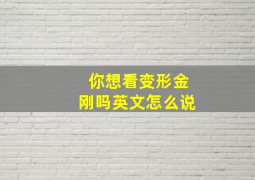 你想看变形金刚吗英文怎么说