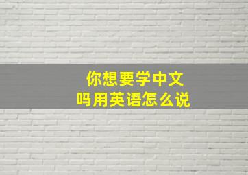 你想要学中文吗用英语怎么说