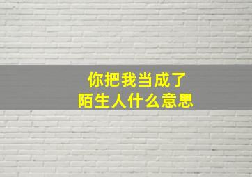 你把我当成了陌生人什么意思