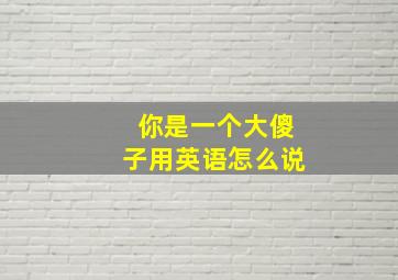 你是一个大傻子用英语怎么说