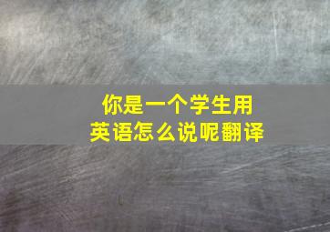 你是一个学生用英语怎么说呢翻译