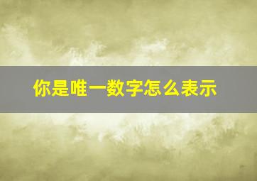 你是唯一数字怎么表示