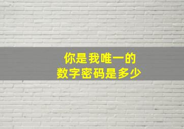 你是我唯一的数字密码是多少