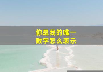 你是我的唯一数字怎么表示