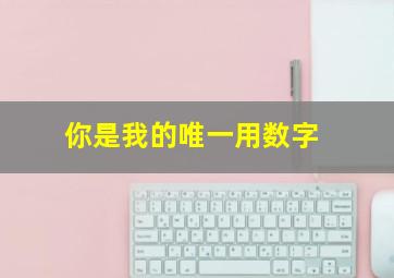 你是我的唯一用数字