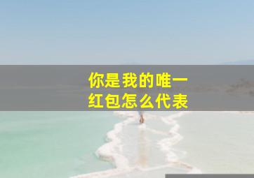 你是我的唯一红包怎么代表