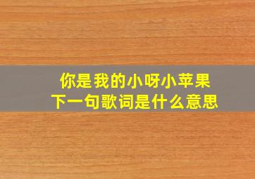 你是我的小呀小苹果下一句歌词是什么意思