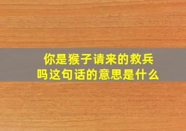 你是猴子请来的救兵吗这句话的意思是什么