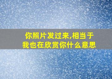 你照片发过来,相当于我也在欣赏你什么意思