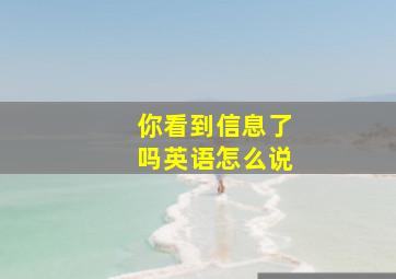 你看到信息了吗英语怎么说