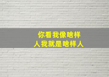 你看我像啥样人我就是啥样人