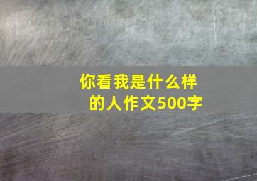 你看我是什么样的人作文500字