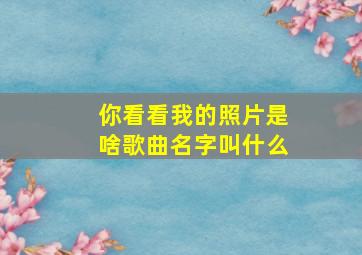 你看看我的照片是啥歌曲名字叫什么