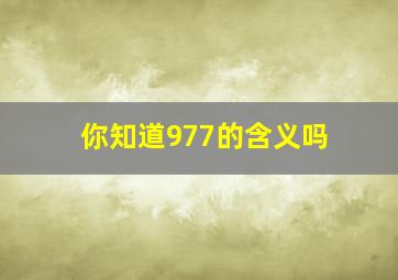 你知道977的含义吗