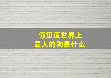 你知道世界上最大的狗是什么