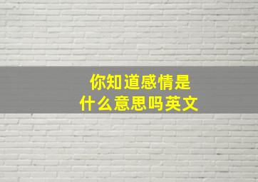 你知道感情是什么意思吗英文