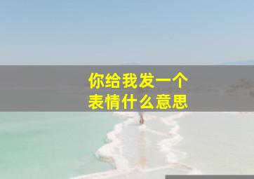 你给我发一个表情什么意思