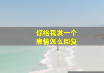 你给我发一个表情怎么回复