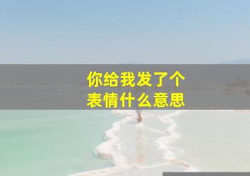 你给我发了个表情什么意思