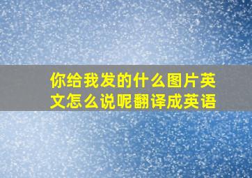 你给我发的什么图片英文怎么说呢翻译成英语