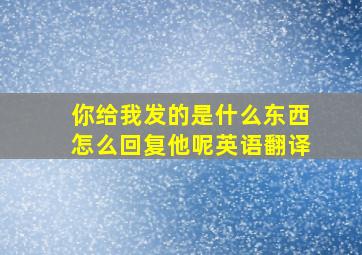 你给我发的是什么东西怎么回复他呢英语翻译