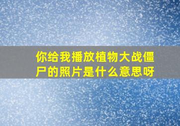 你给我播放植物大战僵尸的照片是什么意思呀