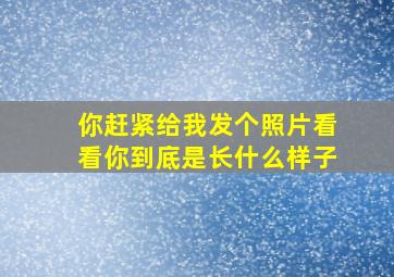 你赶紧给我发个照片看看你到底是长什么样子