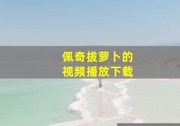 佩奇拔萝卜的视频播放下载