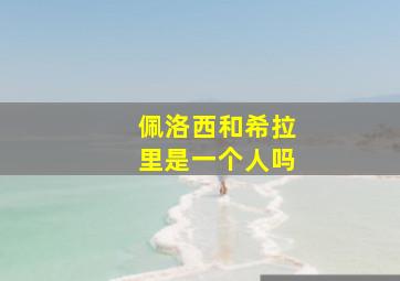 佩洛西和希拉里是一个人吗