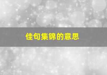 佳句集锦的意思