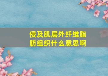 侵及肌层外纤维脂肪组织什么意思啊