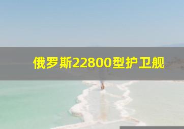 俄罗斯22800型护卫舰