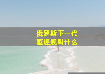 俄罗斯下一代驱逐舰叫什么