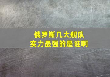 俄罗斯几大舰队实力最强的是谁啊