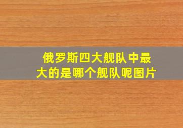 俄罗斯四大舰队中最大的是哪个舰队呢图片