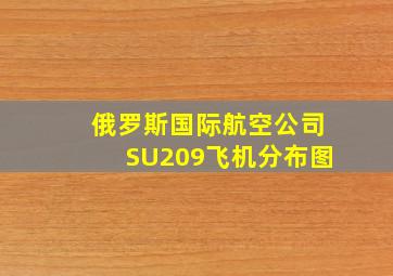 俄罗斯国际航空公司SU209飞机分布图