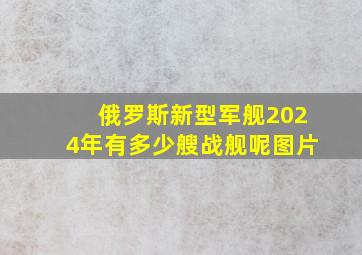 俄罗斯新型军舰2024年有多少艘战舰呢图片