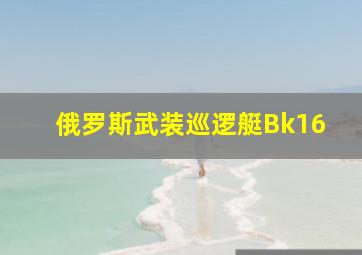 俄罗斯武装巡逻艇Bk16