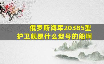 俄罗斯海军20385型护卫舰是什么型号的船啊