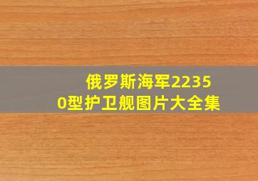 俄罗斯海军22350型护卫舰图片大全集