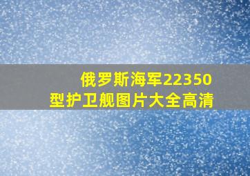 俄罗斯海军22350型护卫舰图片大全高清