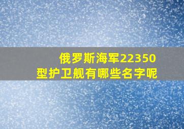 俄罗斯海军22350型护卫舰有哪些名字呢