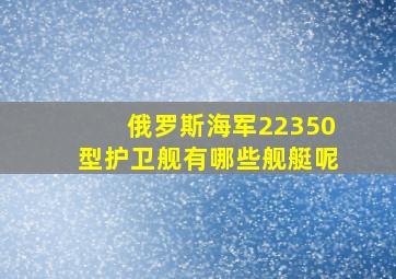 俄罗斯海军22350型护卫舰有哪些舰艇呢