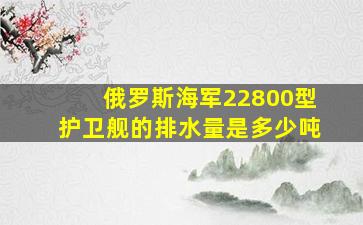 俄罗斯海军22800型护卫舰的排水量是多少吨