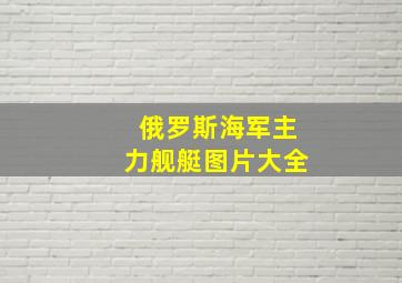 俄罗斯海军主力舰艇图片大全