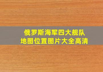 俄罗斯海军四大舰队地图位置图片大全高清