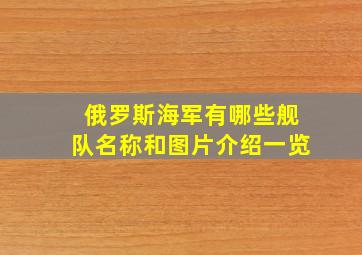 俄罗斯海军有哪些舰队名称和图片介绍一览