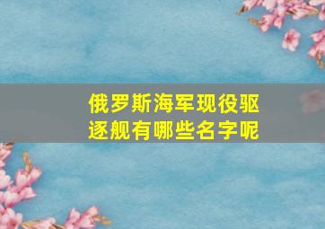 俄罗斯海军现役驱逐舰有哪些名字呢